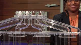 Evening Drawing 02 23 26