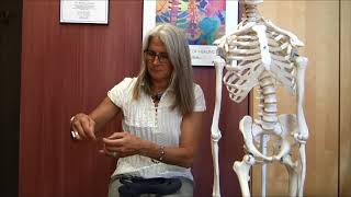 Heel Lifts: How they can help, what size you need & more!