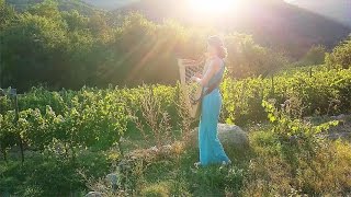 Celtic Harp Solo "Everywhere"  (Harfenmusik, harpe celtique)