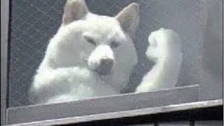 暇だからバジる#スマスロ