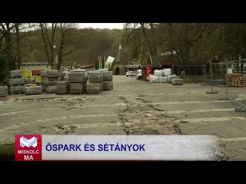 Videó előnézet