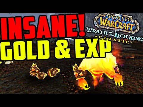 INSANE Goldfarm To Do While Leveling - Good Gold Per Hour & Experience Per Hour!