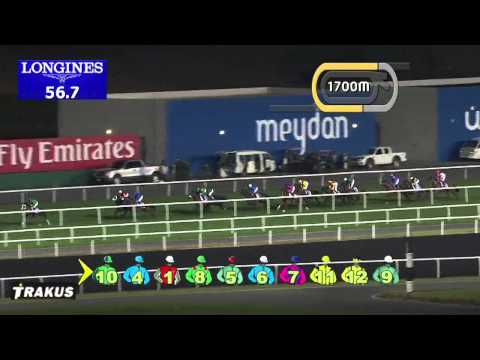 13.02.2014 Meydan (Dubai-UAE) 6.Race Ford Edge Sport Trophy - Handicap  2.435 m
