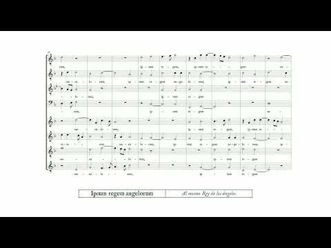 Jean Mouton: Nesciens mater virgo virum (The Tallis Scholars, Peter Phillips)