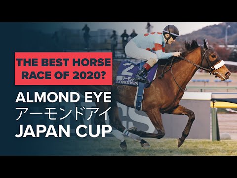 ALMOND EYE アーモンドアイ JAPAN CUP | RECORD BREAKING JAPANESE RACEHORSE RETIRES IN 2020’S BEST HORSE RACE