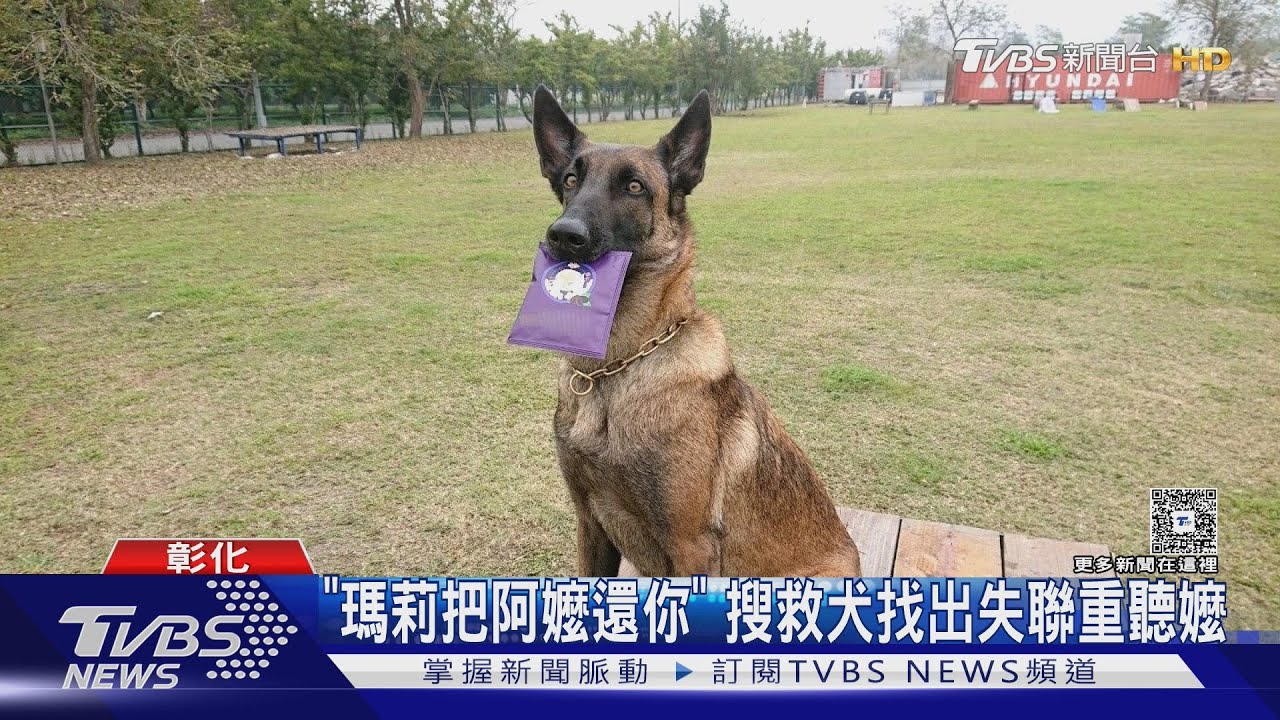 「瑪莉把阿嬤還你」 搜救犬找出失聯重聽嬤