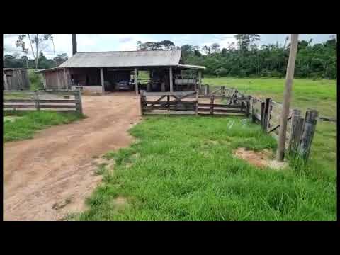 Fazenda top  cotriguaçu-MT