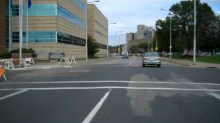 LaCrosse Downtown Copeland Rose