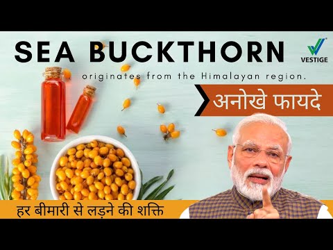 Healthy Sea Buckthorn Juice Loaded with OMEGA 3, 6, 9, 7)