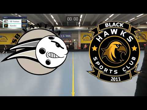 29.1.2023  P13 SB Vantaa - Hawks