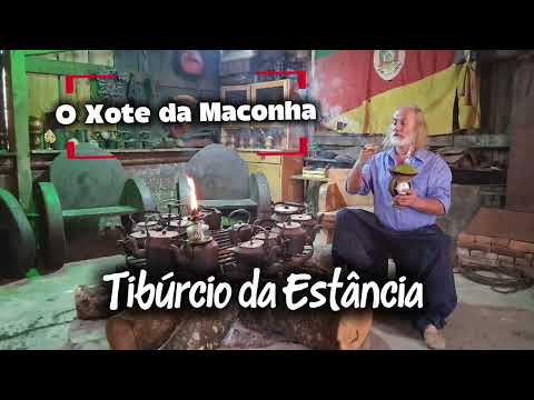 Música "O Xote da Maconha" - Tibúrcio da Estância 