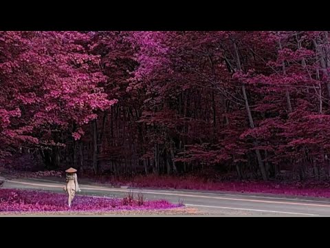 Ghen | Ghen's Lament (Yebba's Heartbreak Cover)