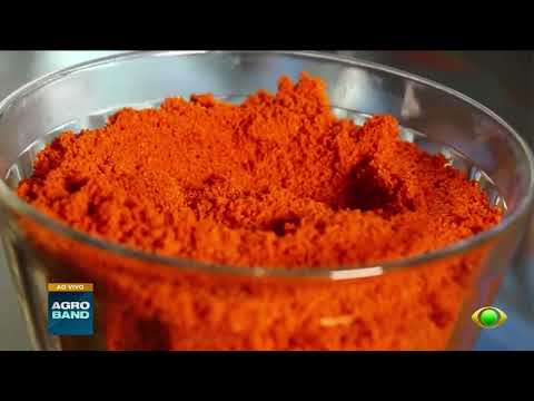 Giro Brasil: arroz em casca no RS tem alta de preço