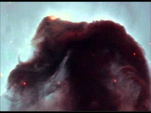 Cerebral Factory - Sculpture a la Tronconneuse