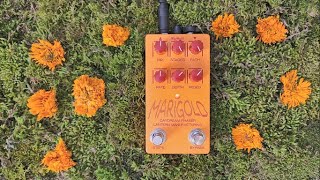 Video thumbnail for Lantern Manufacturing - Marigold - Daydream Phaser by Lantern Manufacturing