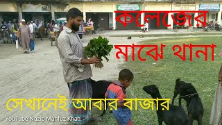ভিডিও গ্যালারী