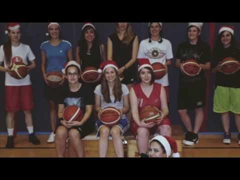 Bascats Homepage Video 2017