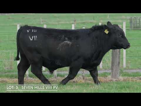 Lot 3  SEVEN HILLS V111 PV