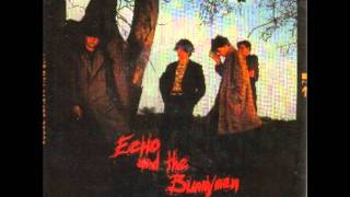 Echo and the Bunnymen- the puppet 7inch