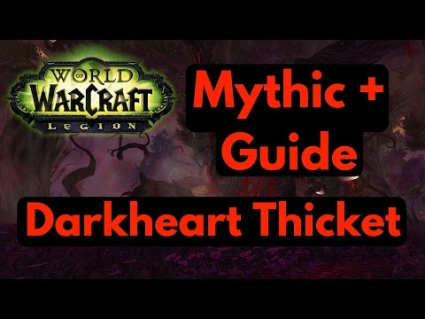 Darkheart Thicket Mythic + (Plus) Dungeon Guide