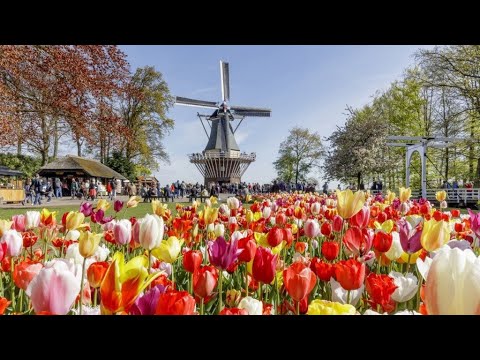 keukenhof 2023