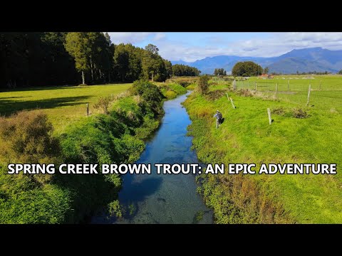 "Island Ping-Pong" an EPIC Spring Creek Fly Fishing Adventure