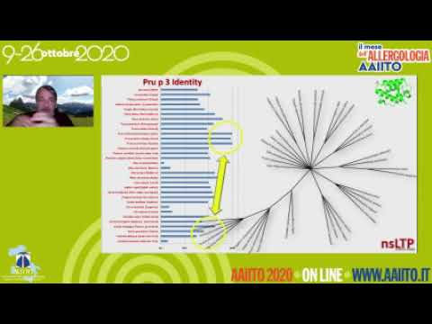 Scala Enrico-9
