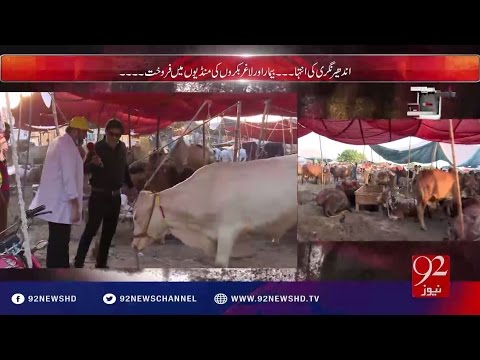 Andher Nagri | Mehngai ka tufan.. Qurbani ka janwar kharidna aam aadmi ka khwab | 11-09-2016