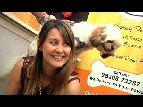 Minissha Lamba Playing With Dogs Video Will Make Your Day