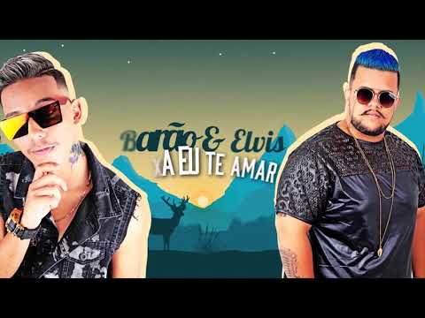 MC ELVIS E MC BARÃO - DEIXA EU TE AMAR - MÚSICA NOVA