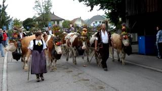 preview picture of video 'Alpabzug (Cow Parade) Sumiswald, Switzerland'