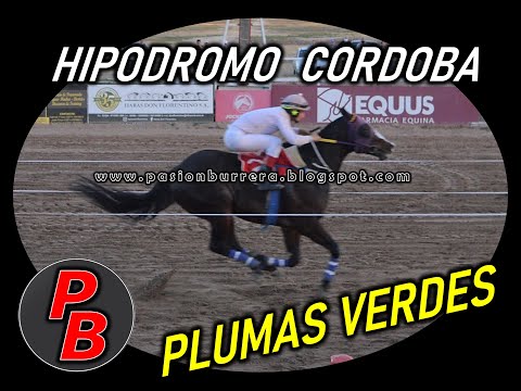 PLUMAS VERDES, Hipodromo Córdoba (09-07- 2021)