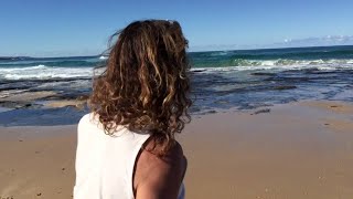 faze tari foca salvata