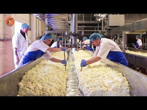 , title : 'Impresionantes queseros y máquinas industriales para hacer queso