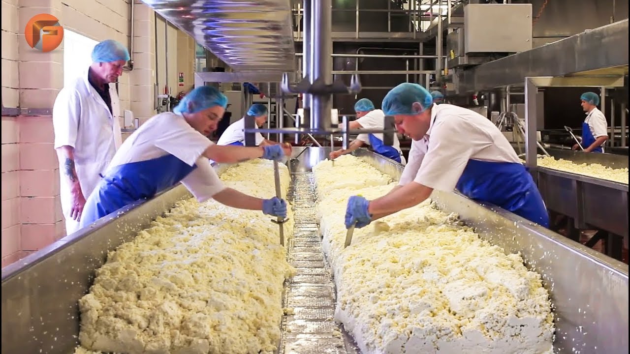 Impresionantes queseros y máquinas industriales para hacer queso