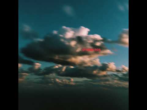 AERIS ROVES - STORMBIRDS (OFFICIAL AUDIO)