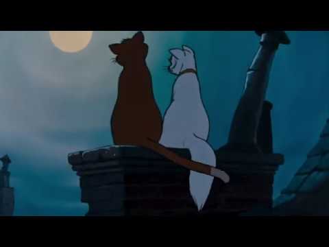 The Cat King (1994) trailer (2nd Remake)