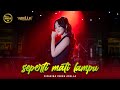 SEPERTI MATI LAMPU Difarina Indra Adella OM ADELLA