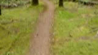 preview picture of video 'BIking Single-track on Hornby Island, British Columbia'
