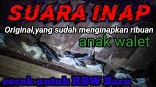 Download lagu suara inap anakan walet, original, jernih, cocok untuk RBW baru @Baronetwalet mp3 Download lagu suara inap anakan walet, original, jernih, cocok untuk RBW baru @Baronetwalet mp3