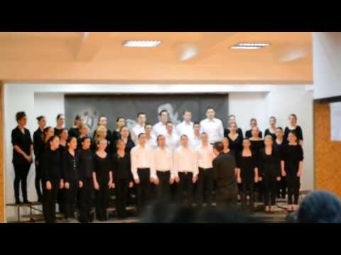 Tebe pojem - Mali hor ''Obilić''