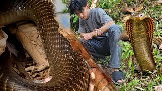 Download lagu NAHULI PERO NATUKLAW SI COBRA PRINCE mp3