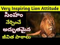 Inspiring Lion Attitude Life Lessons From Lion Telugu Motivational Speech Silent Speech