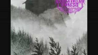 carpathian forest - When Thousand Moon Have Circled