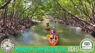 Rising Tide Explorers | Kayak Tour 2017