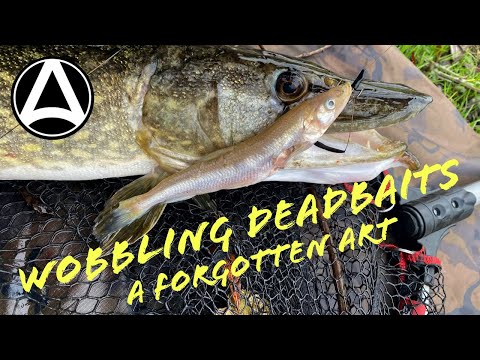 WOBBLING DEADBAITS A FORGOTTEN ART.
