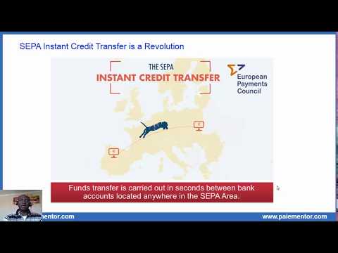 SEPA Instant Credit Transfer key features - Execution Time