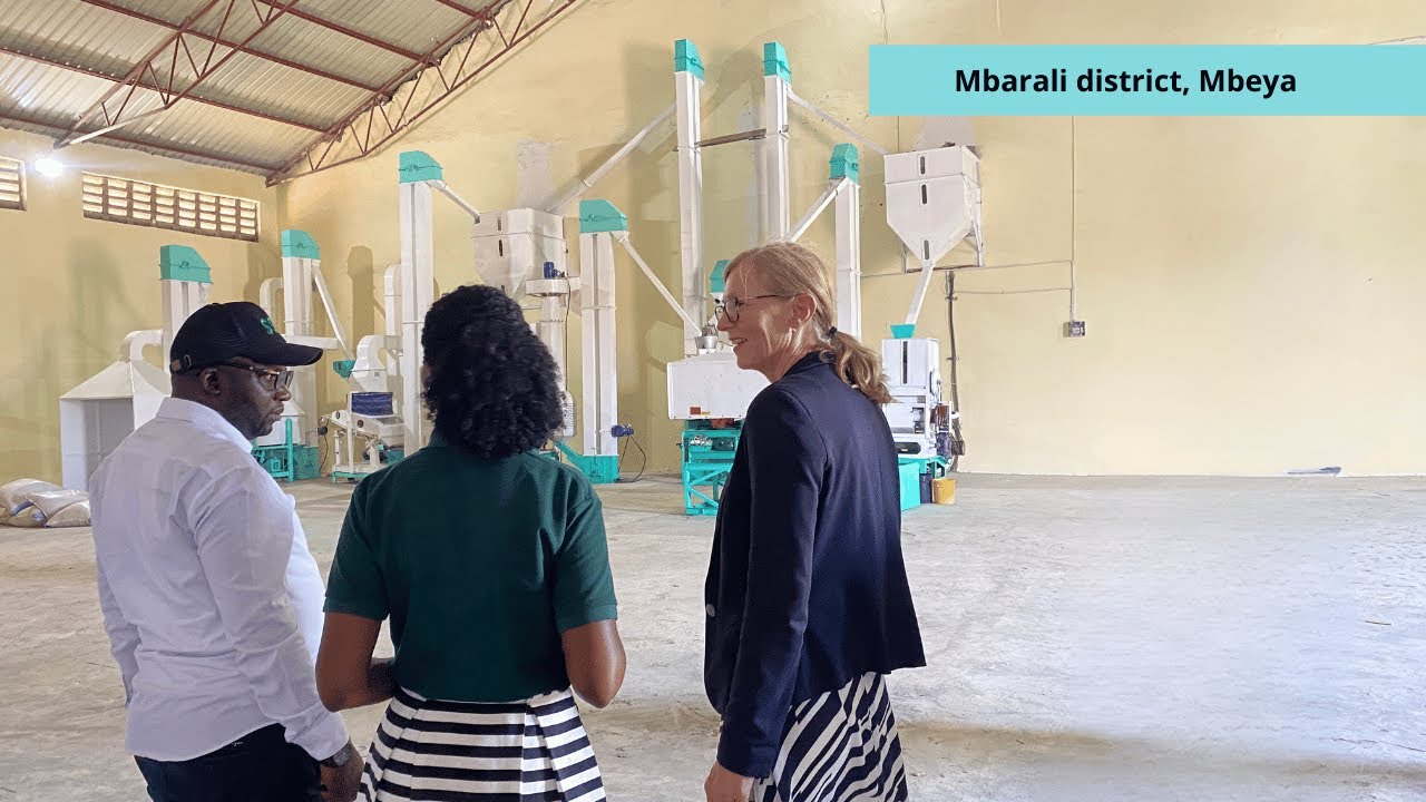 Norwegian ambassador’s visit to mbarali district, Spotlights Norges Vel’s impact on rice value chain