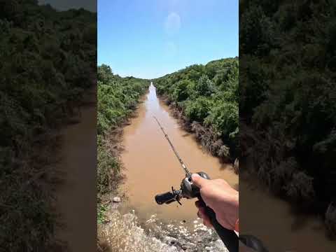 🔥MUCHA Pesca y Cocina🔥 Los Puestos y Arroyo Mista #pesca #fishing #argentina #tucuman #fish