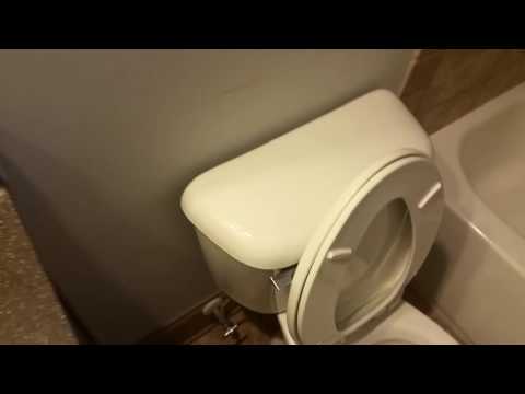 Hardwood floor cleaning with Lindhaus LW30